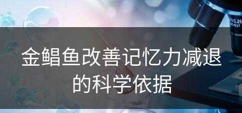 金鲳鱼改善记忆力减退的科学依据